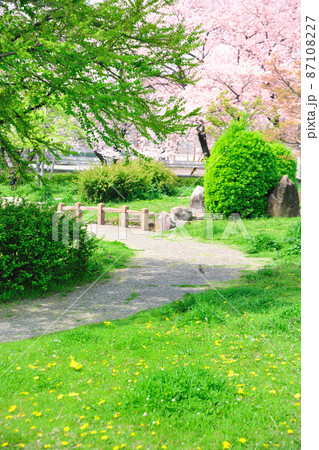大蔵池公園 大蔵池公園 87108227