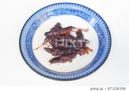 イナゴの佃煮 郷土料理のひとつ 昆虫食 イナゴの佃煮 郷土料理のひとつ 昆虫食 87108396