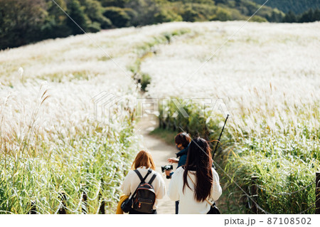 曽爾高原のススキ 曽爾高原のススキ 87108502