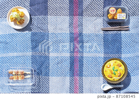 チェック柄のランチョンマットと四か所の隅に配置された鶏肉料理のミニチュア チェック柄のランチョンマットと四か所の隅に配置された鶏肉料理のミニチュア 87108545