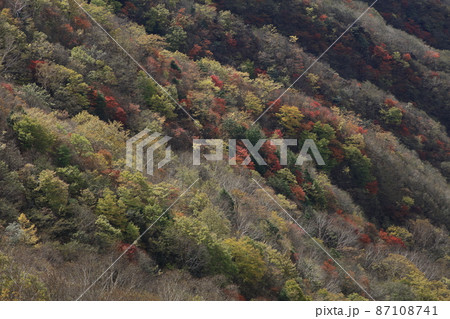 紅葉の中禅寺湖 紅葉の中禅寺湖 87108741