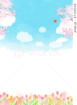 桜　チューリップ　背景素材　水彩イラスト 87109549
