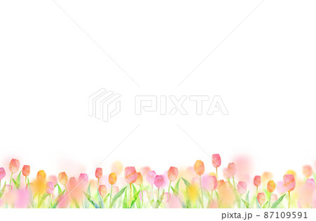 桜　チューリップ　背景素材　水彩イラスト 87109591