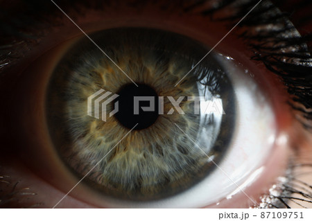 Green females eye with mascara makeup on eyelashes, detailed picture 87109751