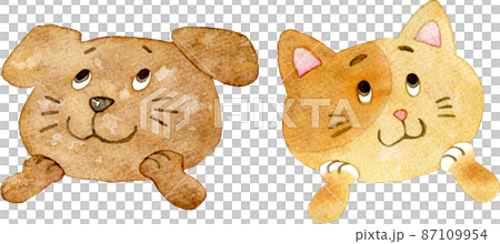 Illustration of an exciting dog and cat 87109954