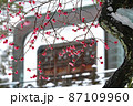 冬の尾山神社 87109960