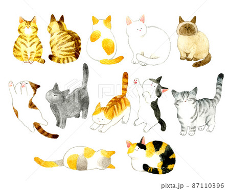 猫のかわいい手描き水彩イラストセット 色々な柄 ポーズの子猫の手描きイラスト素材集のイラスト素材