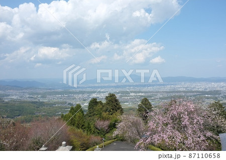 京都 善峰寺からの京都の眺望と桜 京都 善峰寺からの京都の眺望と桜 87110658