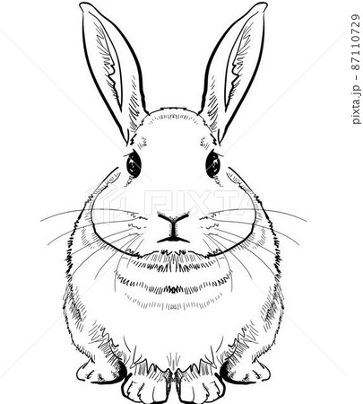 立ち澄ますウサギ-正面図モノクロのイラスト素材 [87110729] - PIXTA