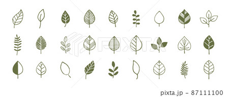 シンプルでかわいい葉っぱ 手描き装飾イラストセット 植物のイラスト素材