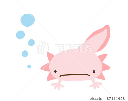かわいい困った顔のウーパールーパーとあぶく／手描きイラスト素材 87111998