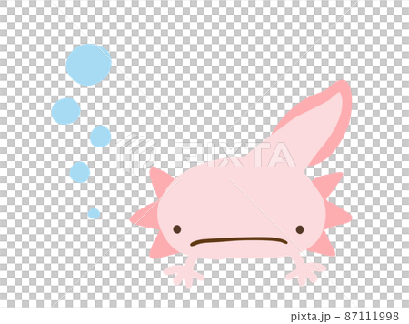 かわいい困った顔のウーパールーパーとあぶく／手描きイラスト素材 87111998
