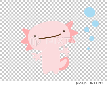 かわいい笑顔のウーパールーパーとあぶく／手描きイラスト素材 87111999