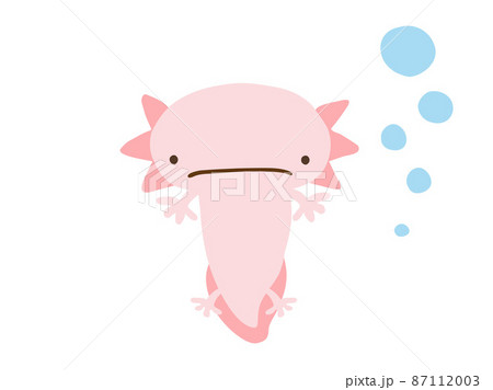 かわいい困った顔のウーパールーパーとあぶく 手描きイラスト素材のイラスト素材