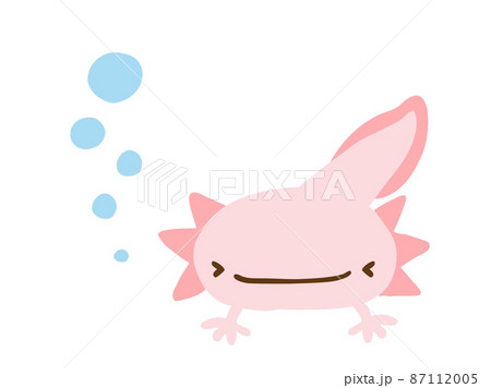 かわいい笑顔のウーパールーパーとあぶく／手描きイラスト素材 87112005