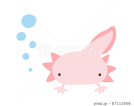 かわいいウーパールーパーとあぶく／手描きイラスト素材 87112006