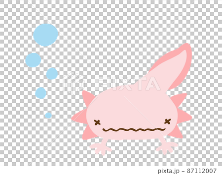 可愛的麻煩臉蠑螈和阿布庫/手繪插圖素材 87112007