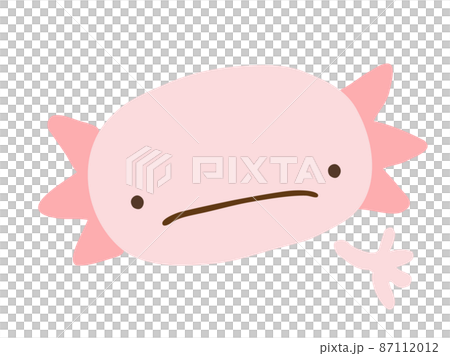 Cute troubled face axolotl / hand-drawn illustration material Cute troubled face axolotl / hand-drawn illustration material 87112012