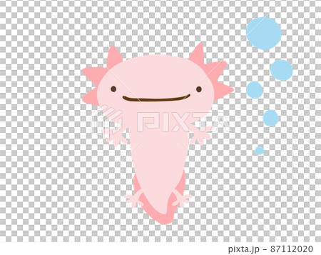 かわいい笑顔のウーパールーパーとあぶく／手描きイラスト素材 87112020