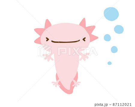 かわいい笑顔のウーパールーパーとあぶく/手描きイラスト素材 かわいい笑顔のウーパールーパーとあぶく/手描きイラスト素材 87112021