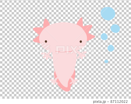 かわいいウーパールーパーとあぶく／手描きイラスト素材 87112022