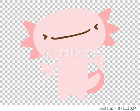 かわいい笑顔のウーパールーパー／手描きイラスト素材 87112024