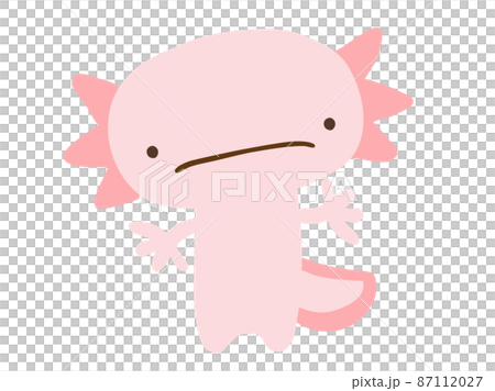 かわいい困った顔のウーパールーパー/手描きイラスト素材 かわいい困った顔のウーパールーパー/手描きイラスト素材 87112027
