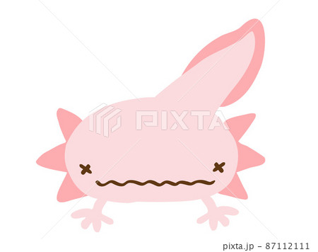 かわいい困った顔のウーパールーパー／手描きイラスト素材 87112111