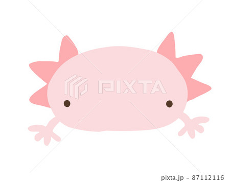 かわいいウーパールーパー／手描きイラスト素材 87112116
