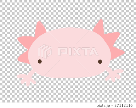 かわいいウーパールーパー／手描きイラスト素材 87112116