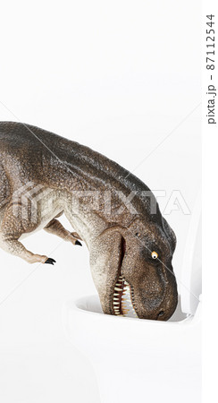 Tyrannosaurus isolated on white background Tyrannosaurus isolated on white background 87112544