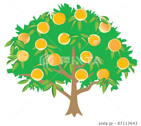 黄色い桃の木のイラスト 87113643