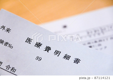 医療費明細書のクローズアップイメージ 医療費明細書のクローズアップイメージ 87114121