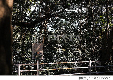 (森の風景)池を守るカッパ 「入ったら危ないよ」 (森の風景)池を守るカッパ 「入ったら危ないよ」 87115597