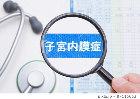 子宮内膜症 子宮内膜症 87115652