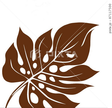 木の葉モンステラ属7 87117500