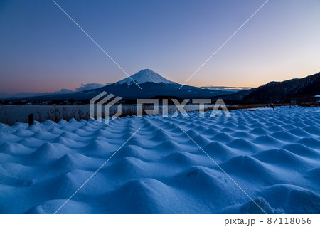 夕方の河口湖大石公園から雪をかぶったラベンダーと富士山 夕方の河口湖大石公園から雪をかぶったラベンダーと富士山 87118066