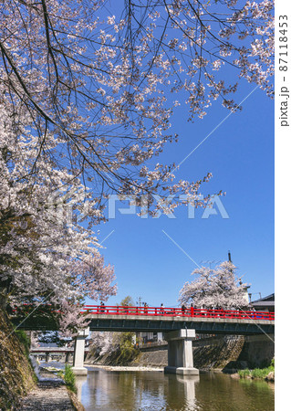 210411中橋桜199 210411中橋桜199 87118453