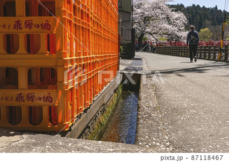 210410中橋桜478 87118467