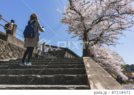 210410中橋桜357 87118471