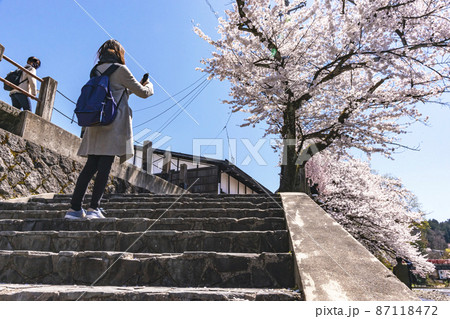 210410中橋桜356 87118472