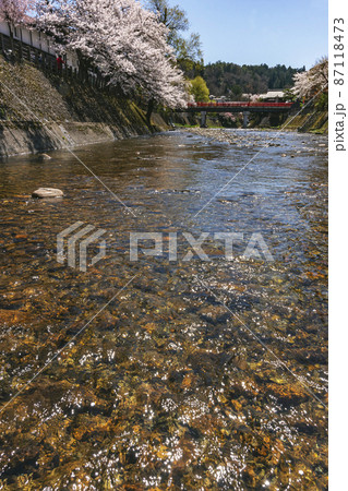 210410中橋桜290 87118473