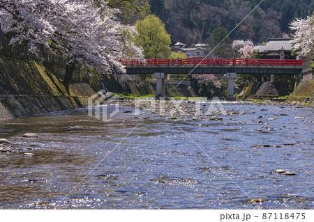 210410中橋桜203 210410中橋桜203 87118475