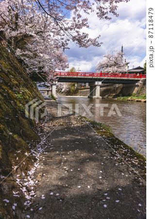 210409中橋桜481 87118479