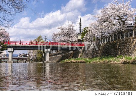 210409中橋桜445 210409中橋桜445 87118481