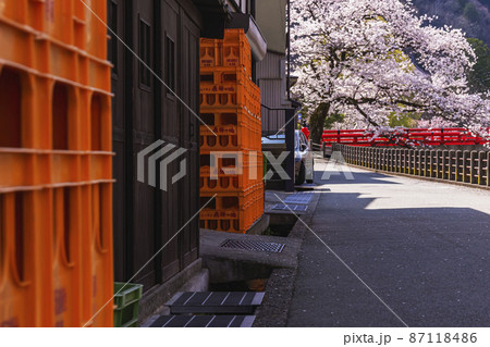 210409中橋桜236 210409中橋桜236 87118486