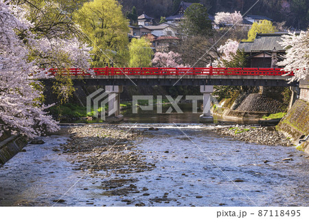 210409中橋桜001 210409中橋桜001 87118495