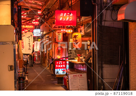 《東京都》吉祥寺・ハモニカ横丁 87119018