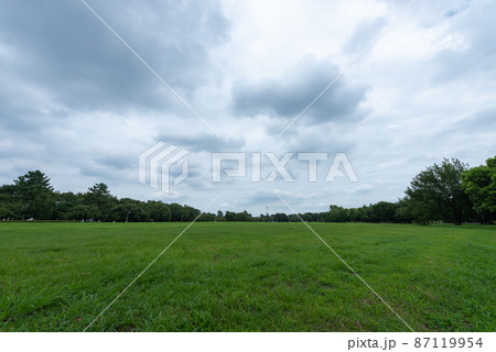 大宮第三公園（さいたま市） 87119954