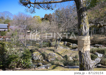 日本庭園 87120154